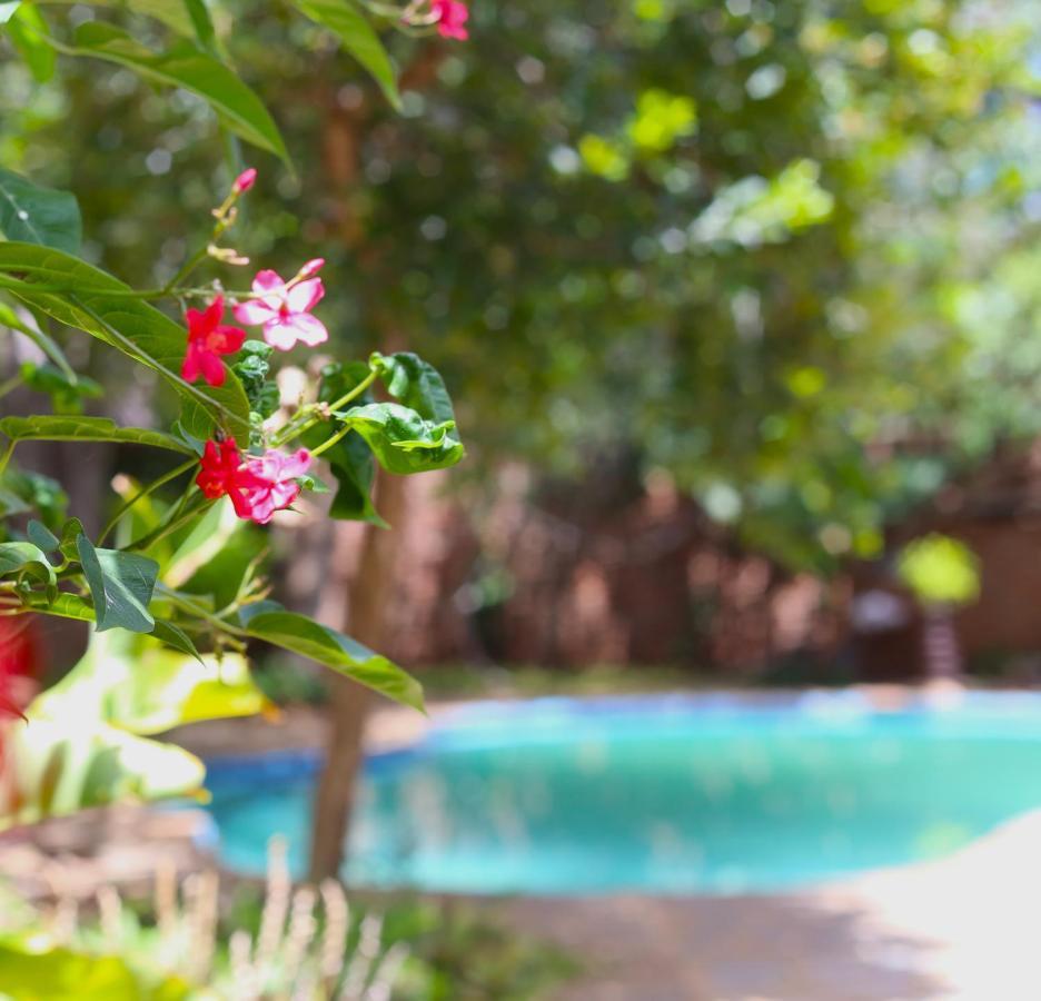 Mawuya Lodge Victoria Falls Kültér fotó